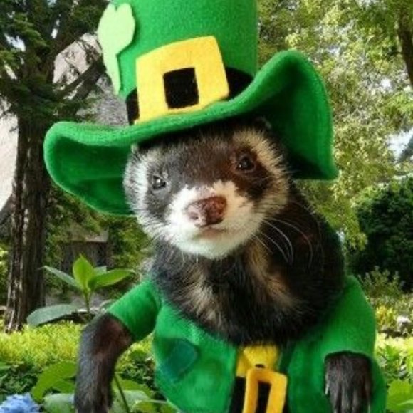 Meet your Posher, CGS💕Poshmark Ambassador💕 - Picture 9 of 10